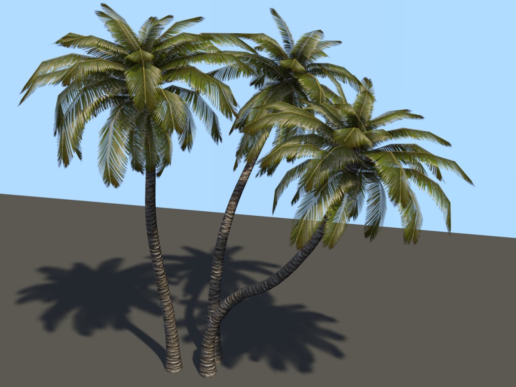 3 Palm Trees (Low Poly + LoD) preview image 1